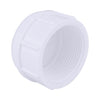 Genova Products 30165 1/2" PVC Sch. 40 Threaded Caps (Pack of 10)