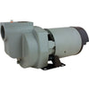 Star Water Systems 1-1/2 HP 4200 gph Cast Iron Sprinkler Pump