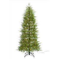 Celebrations 7-1/2 ft. Full LED 650 ct Norfolk Christmas Tree