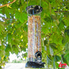 Lyric Delite Wild Bird Food 5 lb