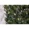 Celebrations Platinum LED T5 Warm White Twinkle Shimmering Sparkle - Mini 50 ct String Christmas Lights