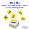 TERRO Insect Trap 4 pk (Pack of 24)