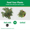 Miracle-Gro Granules Plant Food 2 lb