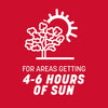 Pennington The Rebels Tall Fescue Grass Sun or Shade Grass Seed 20 lb