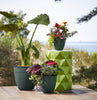 Bloem Dayton 7.5 in. H X 8 in. D Plastic Transitional Planter Turtle Green