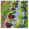 DeWitt Garden Weed-Barrier 3 ft. W X 40 ft. L Recycled Paper Landscape Fabric