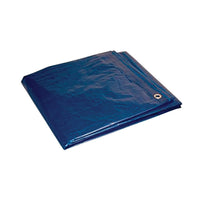 Foremost 20 ft. W X 30 ft. L Light Duty Polyethylene Tarp Blue