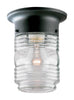 Westinghouse Matte Clear Porch Light