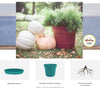 Bloem Saturn 6.5 in. H X 7 in. D Resin Planter Bermuda Teal