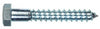 Hillman 1/4 in. X 5 in. L Hex Zinc-Plated Steel Lag Screw 100 pk