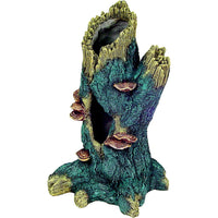 Exotic Environments Hollow Tall Tree Trunk