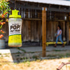 RESCUE! POP Reusable Fly Trap  (Pack Of 4)