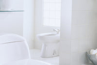 TOTO® Piedmont® Single Hole Deck Mounted Faucet Bidet, Cotton White - BT500AR#01