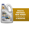 Roundup Dual Action Weed and Grass Killer RTU Liquid 1.25 gal (Pack of 4)