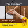 Purdy XL Sprig 2 in. Medium Stiff Flat Trim Paint Brush