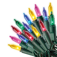 Celebrations Mini Incandescent Light Set Multicolored 20.625 ft. 100 lights Green (Pack of 24)