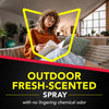 Raid Insect Killer Aerosol 17.5 oz (Pack of 12)
