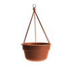 Bloem Dura Cotta 6.8 in. H X 12.5 in. W X 12.4 in. D Resin Hanging Basket Terracotta Clay - Deal of The Week