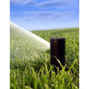 Rain Bird 2.5 in. L Sprinkler Head Lock (Pack of 4)