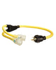 Coleman Cable 10/4 STOW 250 V 3 ft. L Generator Cord