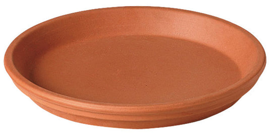 Deroma 1 in. H x 6.75 in. Dia. Clay Traditional Plant Saucer Terracotta (Pack of 20)