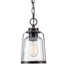 Globe Electric Roth Oil Rubbed Bronze Bronze 1 lights Pendant Light