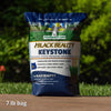 Jonathan Green Black Beauty Keystone All Grasses Sun or Shade Grass Seed 7 lb