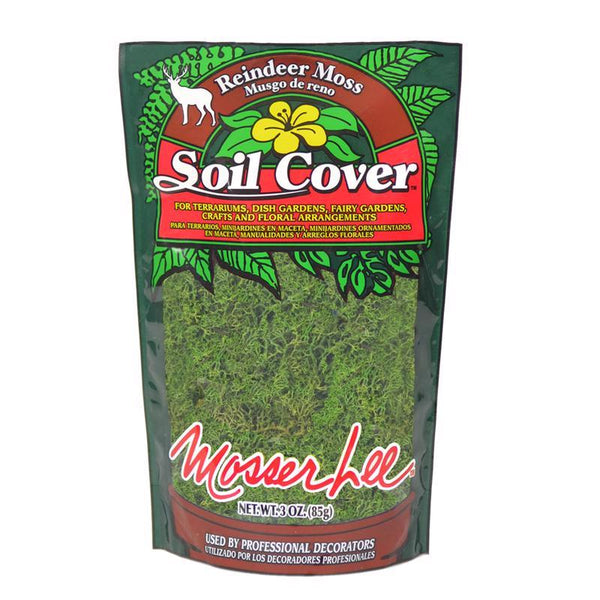 Mosser Lee Cubierta de suelo orgánica, musgo de reno verde oscuro, 3 oz - Oferta de la semana