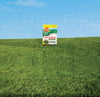 Scotts Turf Builder Weed & Feed Lawn Fertilizer For Multiple Grass Types 4000 sq ft