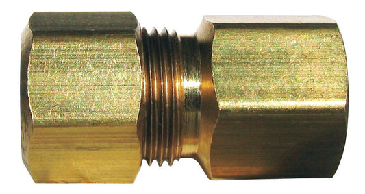 JMF 1/2 in. FPT x 1/2 in. Dia. FPT Brass Adapter (Pack of 2)