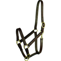 Gatsby Leather Adjustable Turnout Halter W/Snap