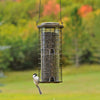 Perky-Pet Squirrel Stumper Wild Bird 3 lb Metal/Plastic Twist-Lock Lid Bird Feeder 8 ports (Pack of 2)