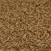 Kaytee Assorted Species Songbird Dried Mealworm Wild Bird Food 17.6 oz. (Pack of 4)
