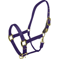 Gatsby Gold Adjustable Safety Breakaway Halter