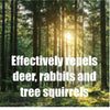 Safer Critter Ridder Animal Repellent Liquid For Deer, Rabbit and Squirrel 32 oz. (Pack of 6)