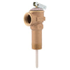 Cash Acme Caste Bronze Body Temperature and Pressure Relief Valve