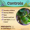 Bonide Concentrated Liquid Disease and Fungicide Control 16 oz (Pack of 6)