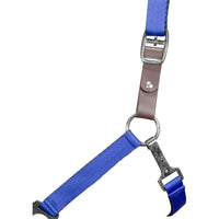 Gatsby Leather Replacement Safety Halter Connect