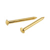 Hillman OOK Brass-Plated Hardwall Picture Hanging Nails 10 lb  (Pack of 12)