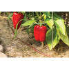 Rain Bird Plastic Drip Irrigation Emitter Tubing 1/4 in. D X 50 ft. L - Open Box