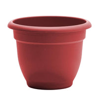 Bloem Ariana 7 in. H X 8.75 in. W X 8 in. D Plastic Traditional Planter Burnt Red - Deal of The Week