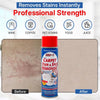 Lifter-1 No Scent Carpet Stain Remover 18 oz Liquid