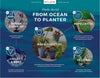 Bloem Dayton 5.75 in. H X 6 in. D Plastic Planter Ocean Blue