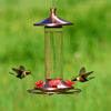 Perky-Pet Hummingbird 12 oz. Copper/Glass Nectar Feeder 4 ports
