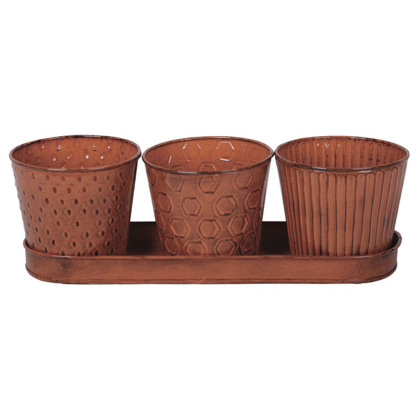 JUEGO DE PLANTAS CNCRD TNG 3 PIEZAS