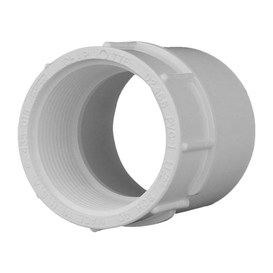 Charlotte Pipe Schedule 40 1-1/2 in. Slip X 1-1/2 in. D FPT PVC Adapter 1 pk