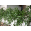 Celebrations 9 ft. L Unlit Everyday Garland
