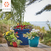 Bloem Ariana 5.25 in. H X 6.5 in. W X 6 in. D Resin Traditional Planter Burnt Red - Deal of The Week