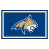 Montana State University 4ft. x 6ft. Plush Area Rug