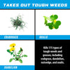 Ortho GroundClear Weed and Grass Killer RTU Liquid 24 oz